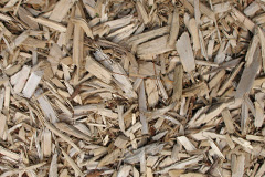 biomass boilers Degar